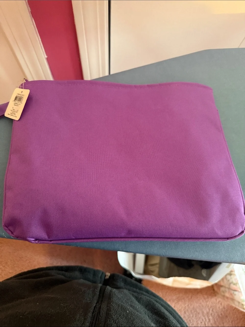 3C4G Rainbow Sequin zip Bag with Purple Trim